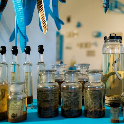 Teaserfoto: Preziosen