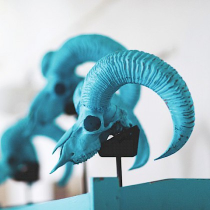 Teaserfoto: NASCENDO MORIMUR MMXIV