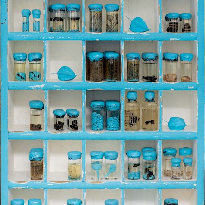 Teaserfoto: Naturalia Artistica