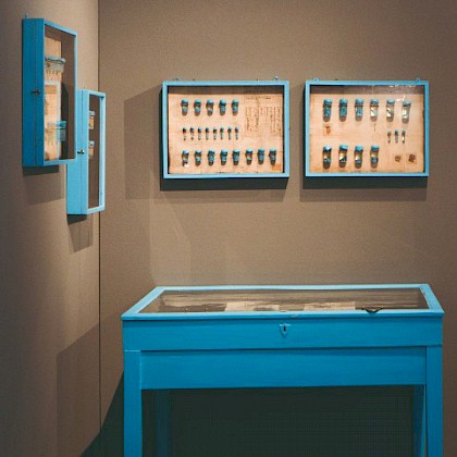 Teaserfoto: NATURA ARTIS MAGISTRA