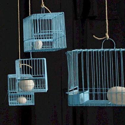 Teaserfoto: KURIOSITÄTENKABINETT