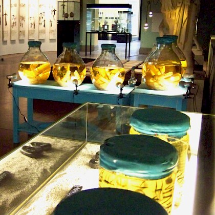 Teaserfoto: RASNA - DIE ETRUSKER