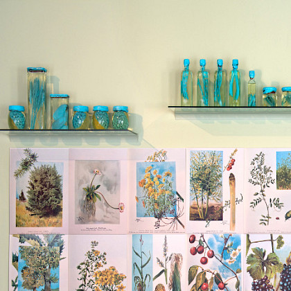 Teaserfoto: HERBARIUM MMXX