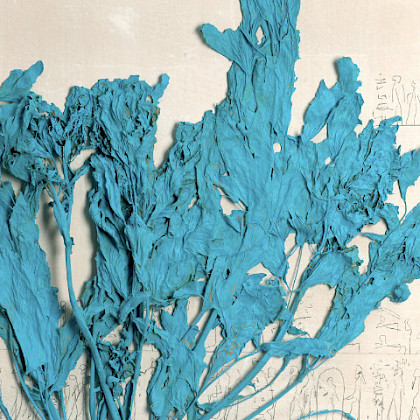 Teaserfoto: FORSCHERKÄSTEN