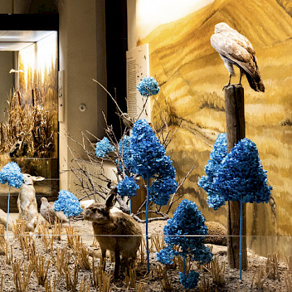 Teaserfoto: ARTENREICH