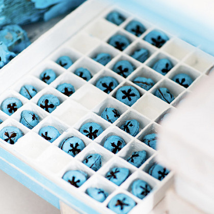 Teaserfoto: ZUCHTKULTUR-KULTURZUCHT