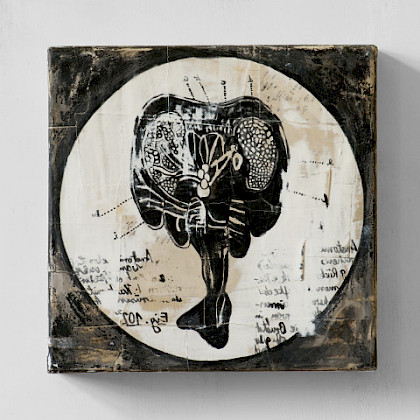 Teaserfoto: FIGURAE NATURALIS