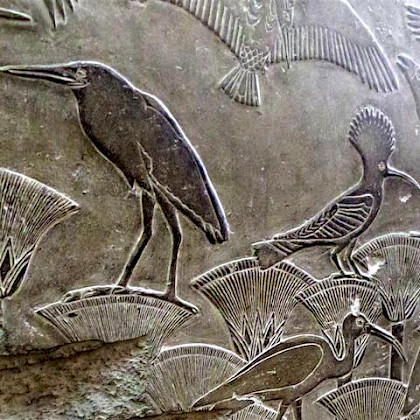 Teaserfoto: Forschungsreise durch Ägypten